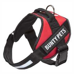 Bunty Yukon Harness - Red